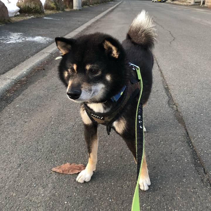 B1bcace0 0f48 4ec8 b084 29eb9bcbbedf 1522464879924