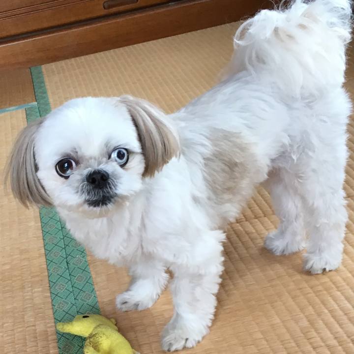 B1bcb629 b8e8 427a bea2 3e496591150a 1539604196971