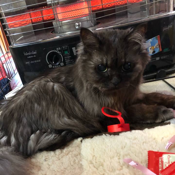 B1bcbf6d 131b 4fe9 97d1 ca0263306232 1553033559587