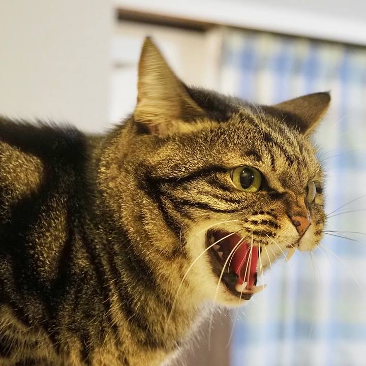 B1bcf5dd 55de 4e45 bece 2fb75fc1ca2f 1669779438634