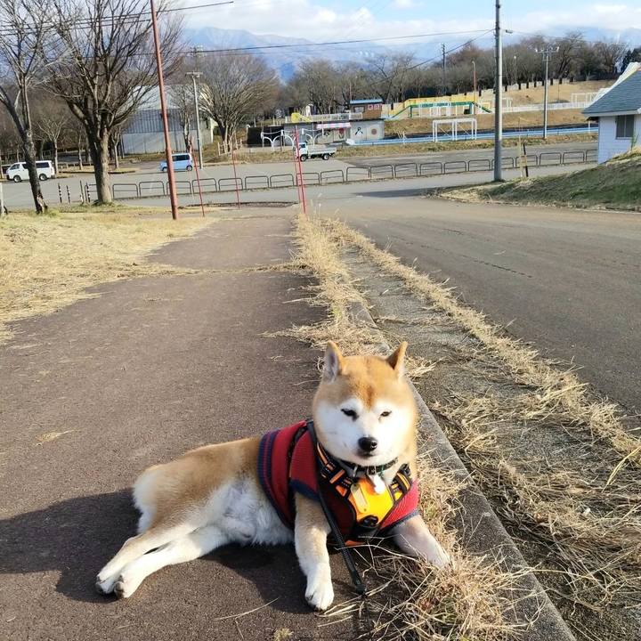 B1bd0313 152c 4c44 9efd 2c8fb9e161b2 1607491135225