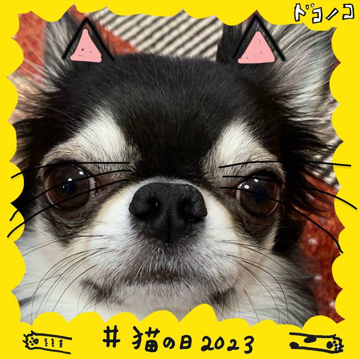 B1bd0bd0 d7d9 4721 a647 270f3d46a6f4 1677108655926