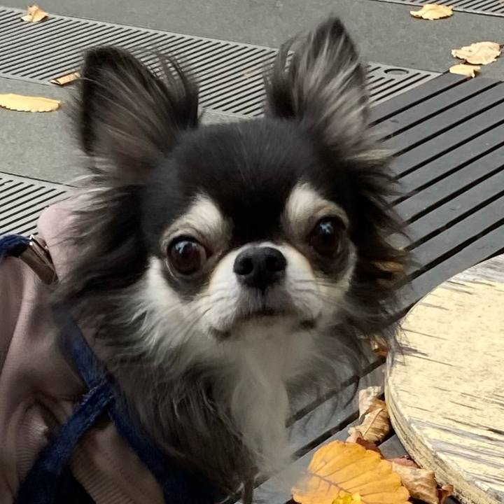 B1bd0fd9 12ba 4328 bf28 25f72017464b 1668922801385