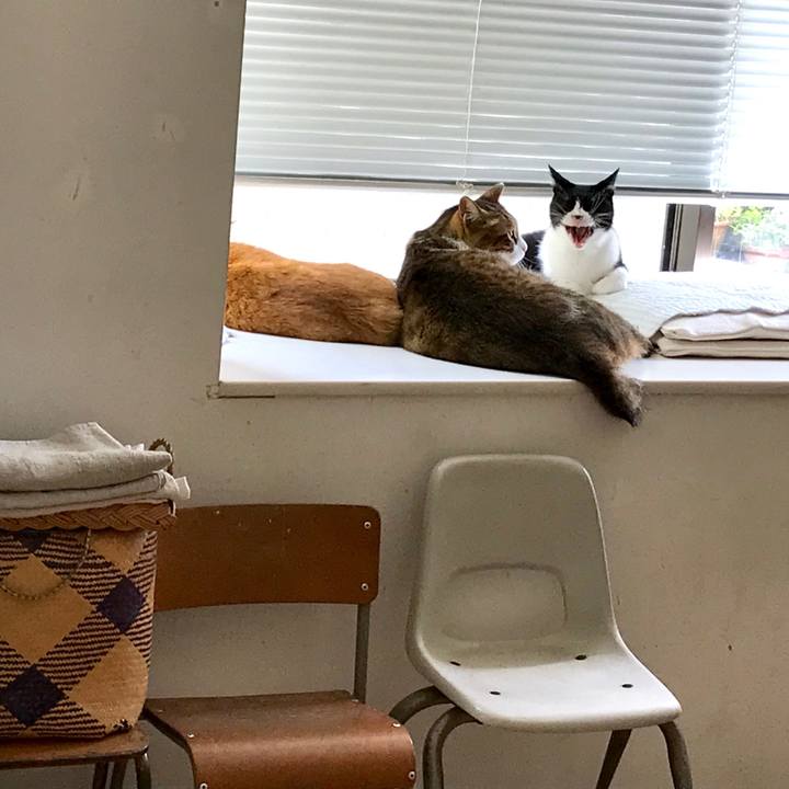 B1bd62e5 5f7f 4d6b b3c4 55e77c22866d 1535006398969