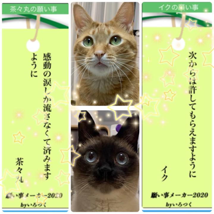 B1bd7155 cc8e 4416 b73a 2fd15d7150e6 1594069044384