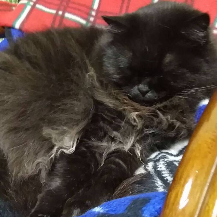 B1bd8717 bdf0 4a45 b76e 368c5513a7fe 1510051795589