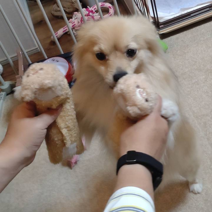 B1bd8b02 0271 4394 af5a 6b2f0e51dd67 1760253395633