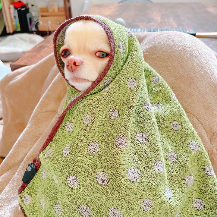 B1bdc40e bfd7 4c0a bdac af7c1524d40c 1650504024717