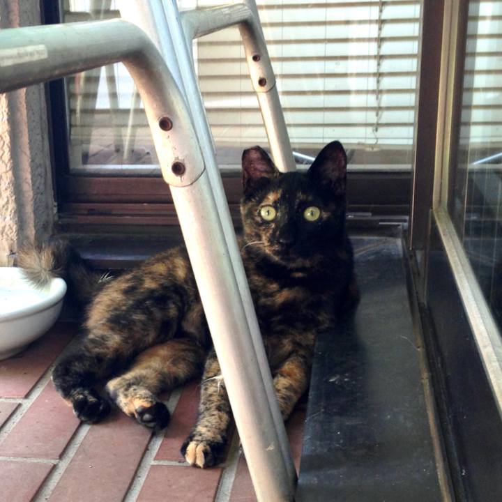 B1bdccca 2b3e 48b9 834f f529127b9d09 1591839506305