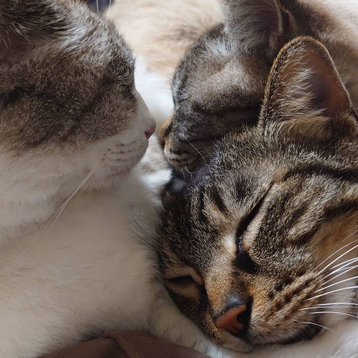 B1bdd131 379e 413a b708 aea2a05eef44 1678455070531