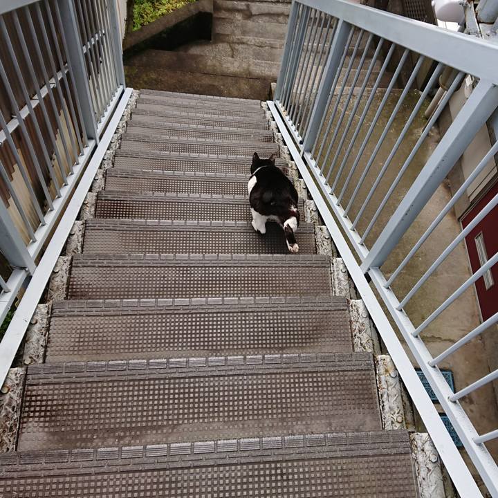 B1be2325 8ac3 4c38 a271 2d5d220c5ba7 1588040203971