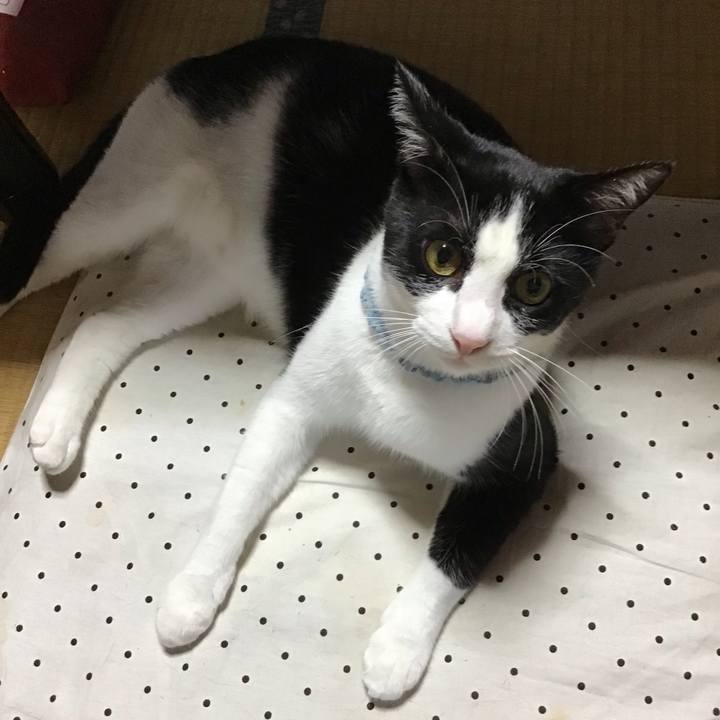 B1be27b3 fab5 48c4 80b2 427d9b3d4a47 1661852951079