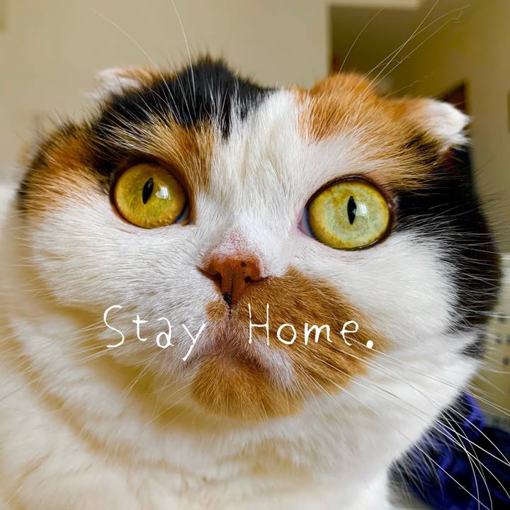 B1be4d47 8b40 45c9 9831 46e4a853bdb3 1588387507303