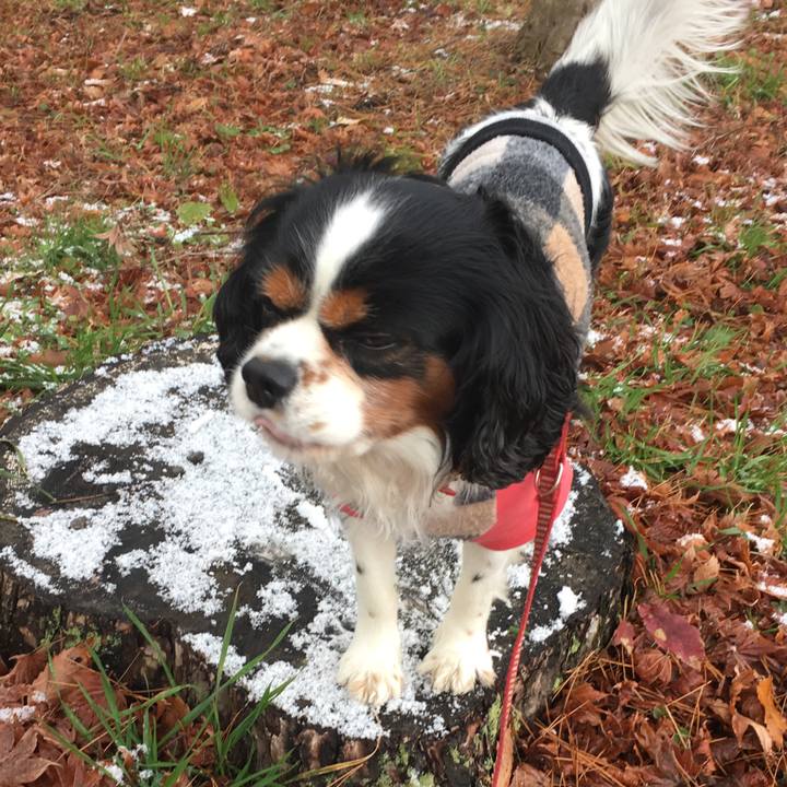 B1be61f7 5120 4fec bc07 61e4f85bd322 1511050351801