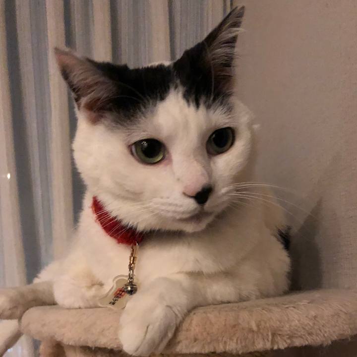 B1be94f4 c991 4f2f 9699 ccd8c4f53e80 1523455501016