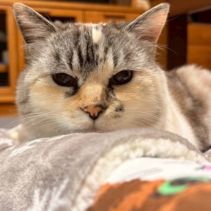 B1bee053 2c82 40c4 b9ca 01cd7fb7abc2 1766222925476