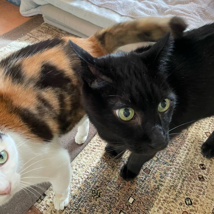 B1befbc4 0d3f 410f 9add dfaca358829f 1635041611891