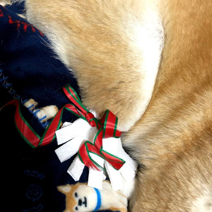 B1bf16c3 acb5 4c04 913b 6b53d9437089 1640353118584