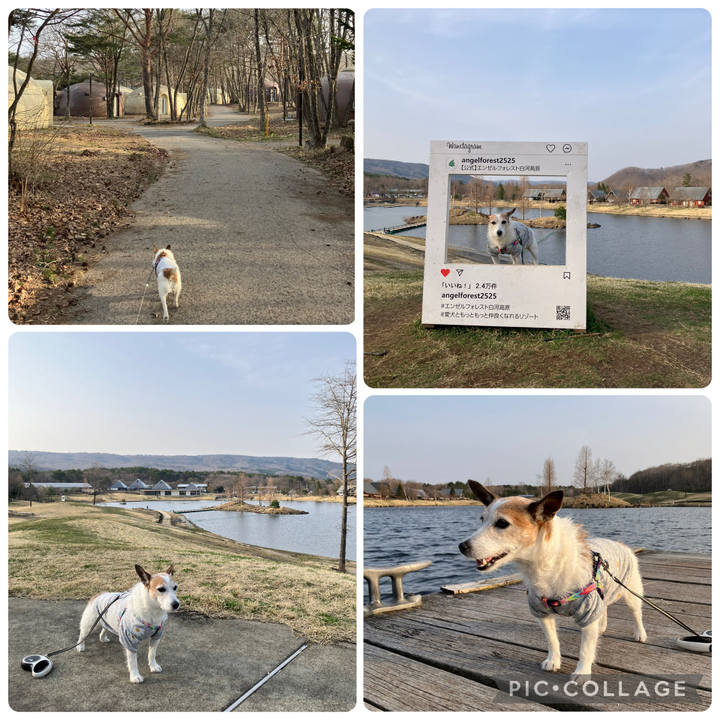 B1bf3ad2 c690 438e a2de db1baa2a57af 1745191777137