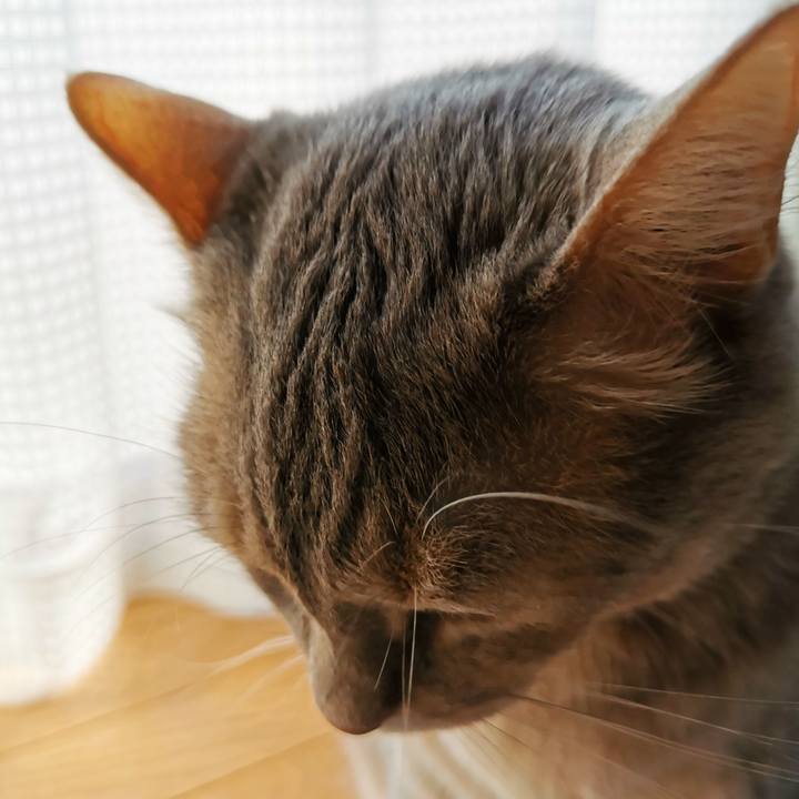 B1bf3b9b dc9b 476b bb3b fc21653305cf 1651808987232