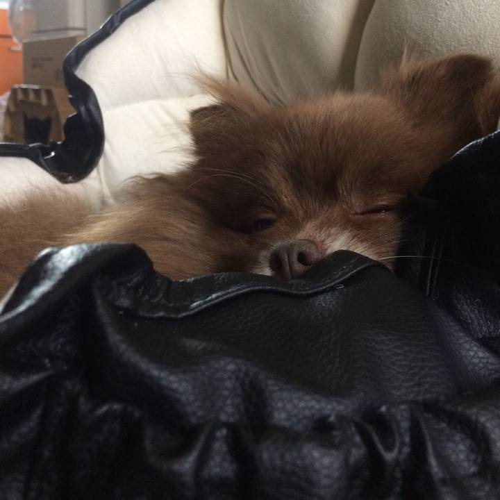 B1bf524b 1c28 4992 b45c 95960364dec5 1527851528037