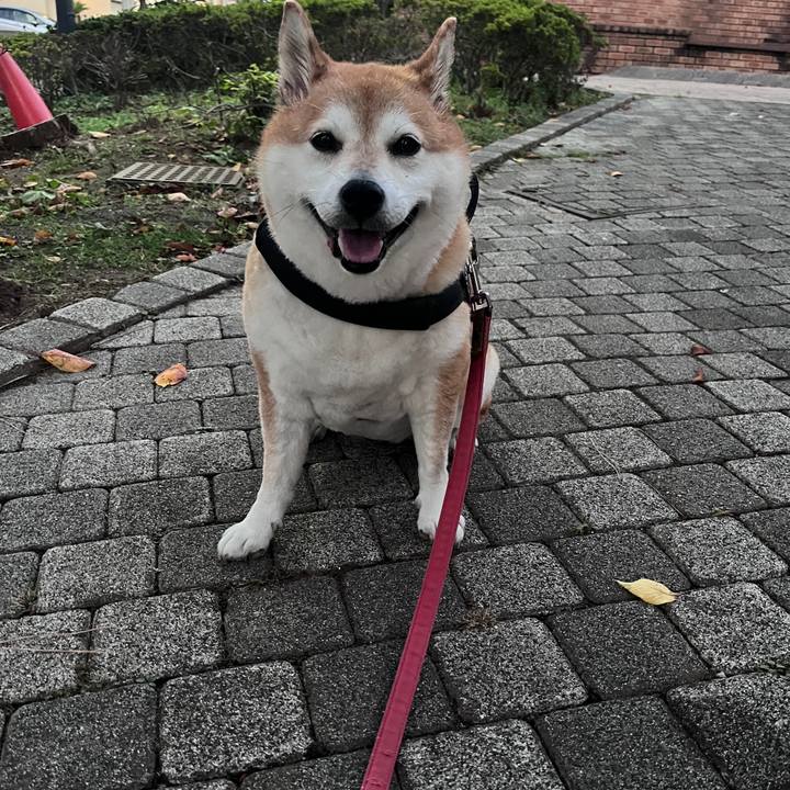 B1bf7685 a5cc 4f4a 87d1 7204f4cd92a0 1699345389490