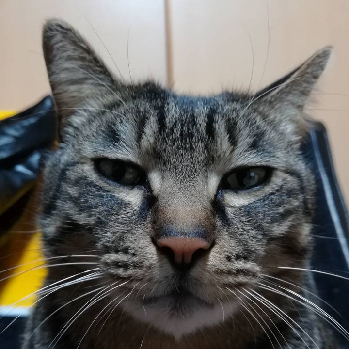 B1bf9eaf 11e8 42e4 8c37 8f0011e2128d 1549709869494