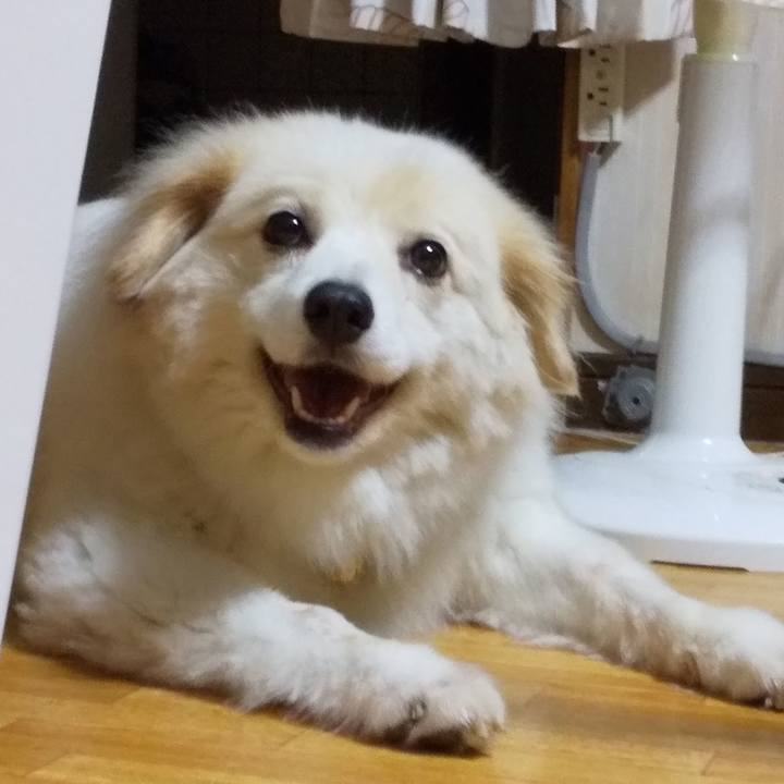 B1bfd00c 590b 4e1e b7d0 d5694ca99d12 1566300359101