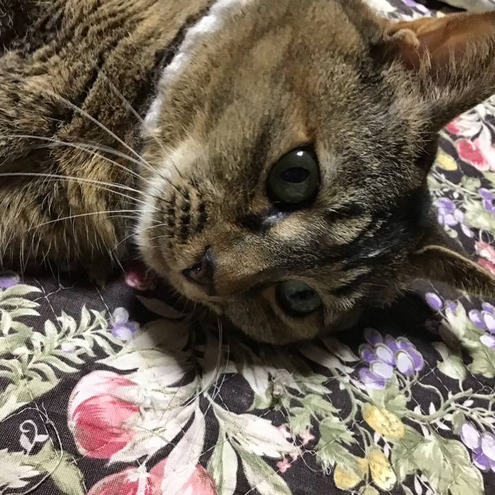 B1c03d60 6142 4440 aba9 fb65779fd0fd 1749812235132