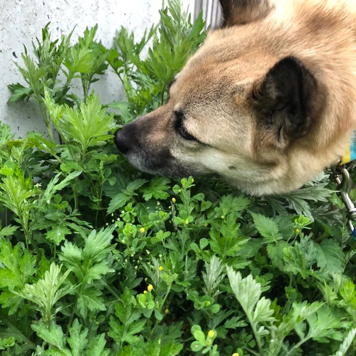 B1c05572 ae3e 4142 97e6 3bb973531293 1620907765527