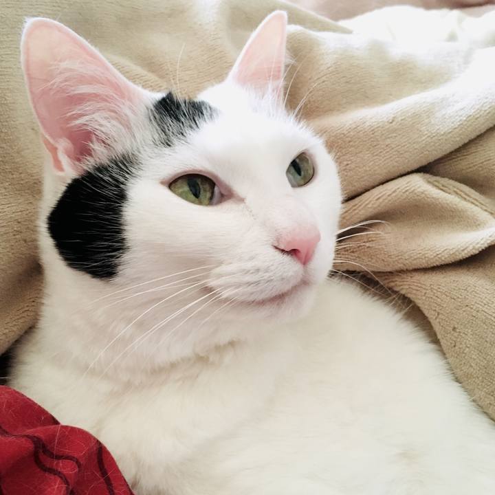 B1c05573 e50d 4590 8fdf 4f24fecc9e61 1556919485942