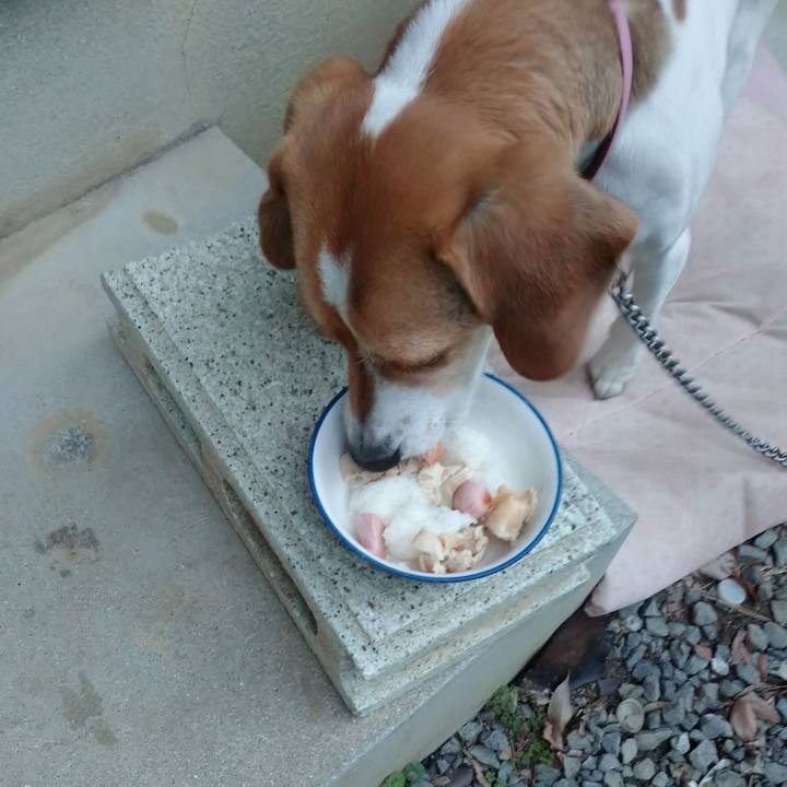 B1c0802a 093c 4653 b972 e6870fb079ed 1584272675681