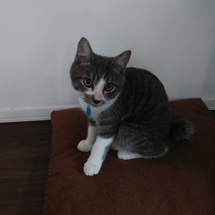 B1c0863b 5af0 44db a013 1ae39da2d2ff 1569796444693