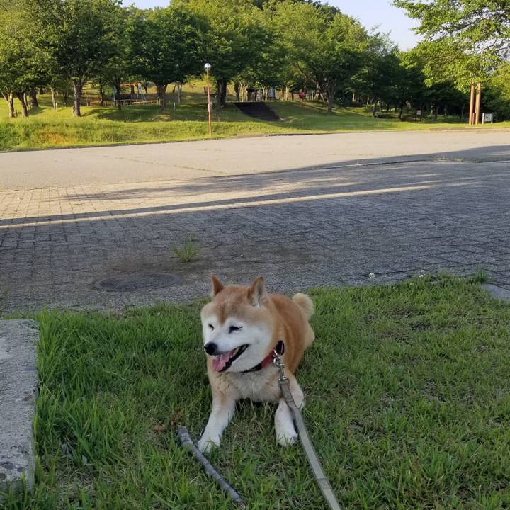 B1c0aaa5 3311 4f42 b8c2 175dad9a1ab1 1718266396519