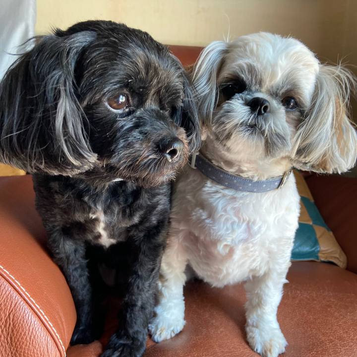 B1c0b214 3c18 44b1 93c1 f5ce7cabfef3 1664889541052