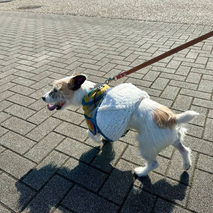 B1c11d96 8bb2 47f6 9530 371710af7545 1710049023599