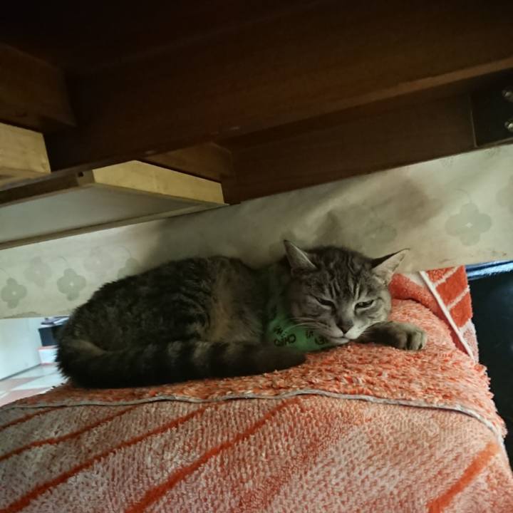 B1c1325b 0fc8 40e4 aa62 2bd4e8ad3e75 1587115889042