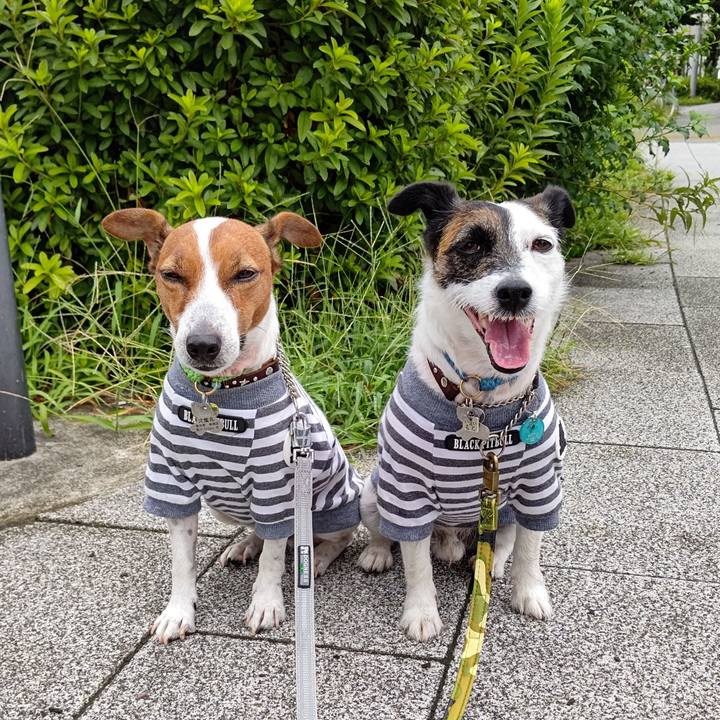 B1c139f2 7ea2 4579 a81f 5be23fc6f667 1660427191722