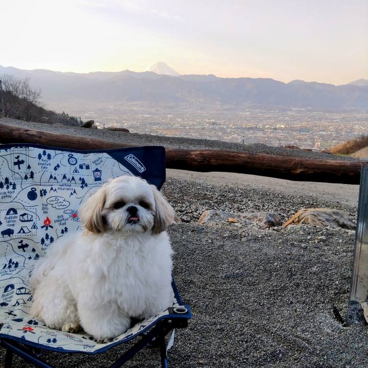 B1c13dc4 3edb 407e acff 67b3cded9128 1743978045092