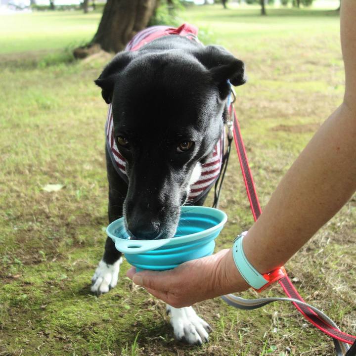 B1c1671b 128d 40dc 9915 a22610353fc5 1688430425746