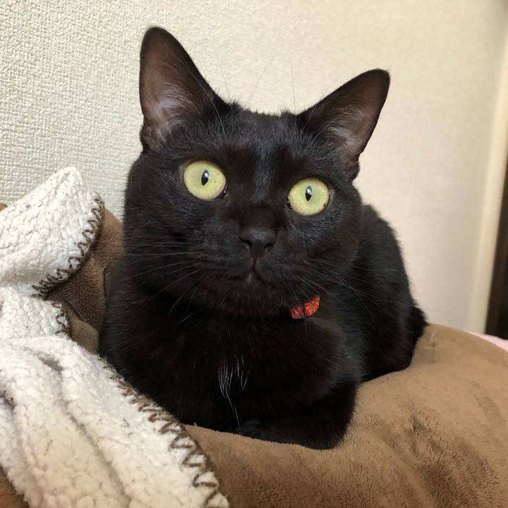 B1c1b78d 68b6 492d a83e 9254b9c82f10 1560656848011