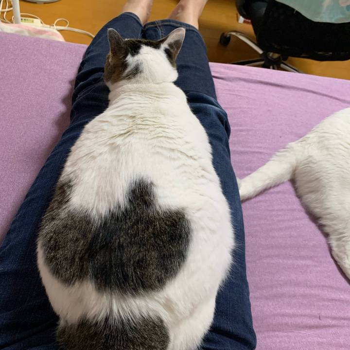 B1c1b951 13ef 43da a3d2 fb26e0ae7c8b 1624100273260