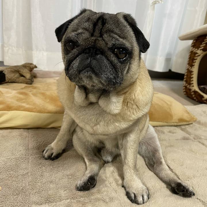 B1c1c972 b7dc 4656 9a7f 2e71a5afbadf 1619861979896