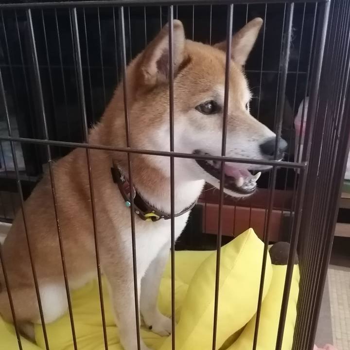 B1c1ce00 8827 48d3 8a81 a86471c084d7 1687071312006