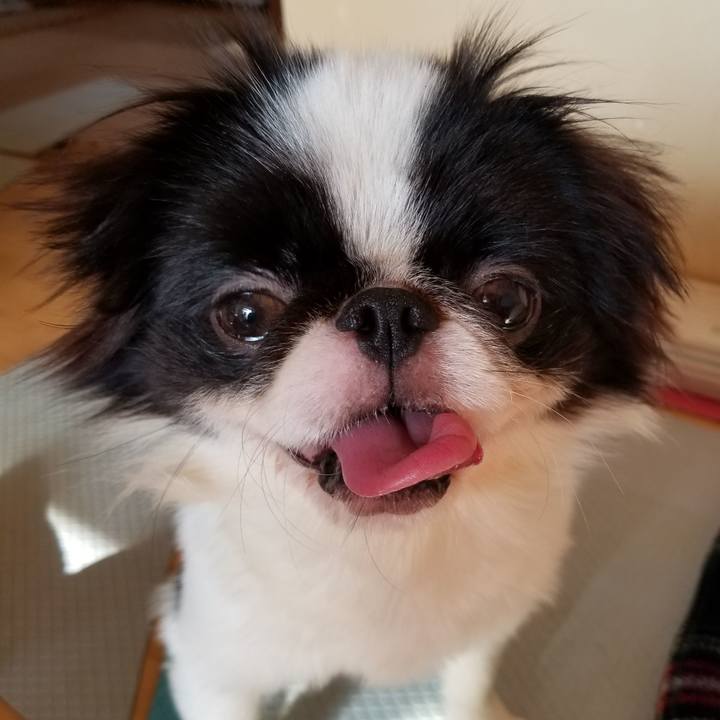 B1c1d390 45ef 40cf 98ce b8c5f71c7378 1636174489411