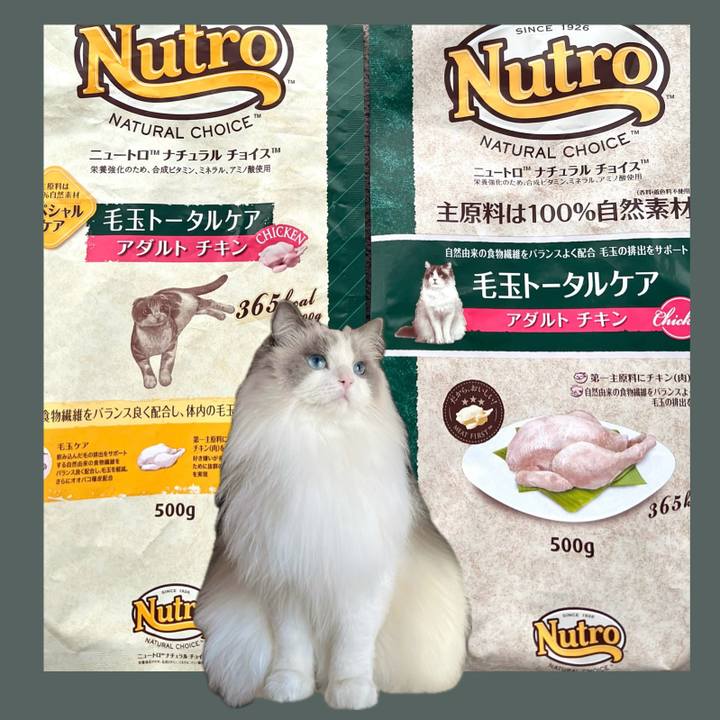 B1c1e78d 73c9 4023 806e f399099f9846 1711574617301