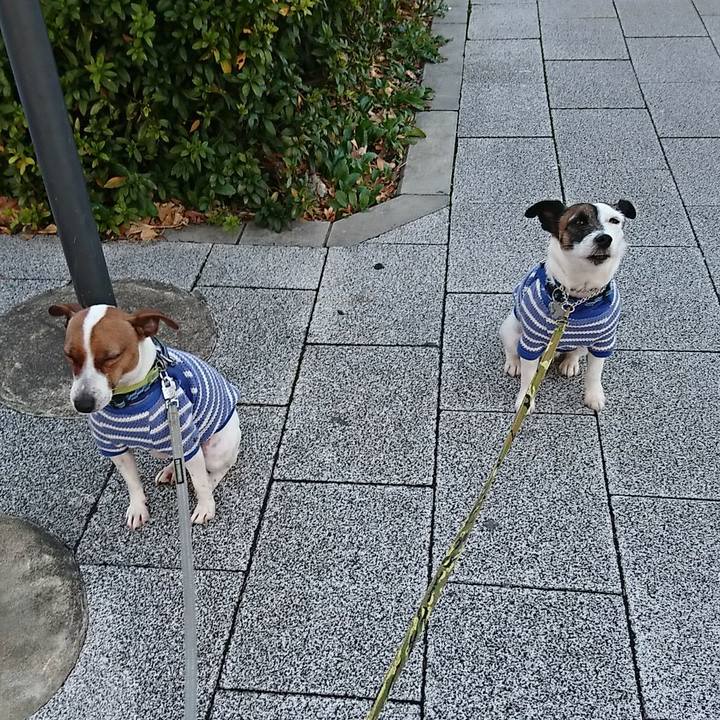 B1c23a06 41c5 4741 a1cf c43bbcff7ccf 1579558271843