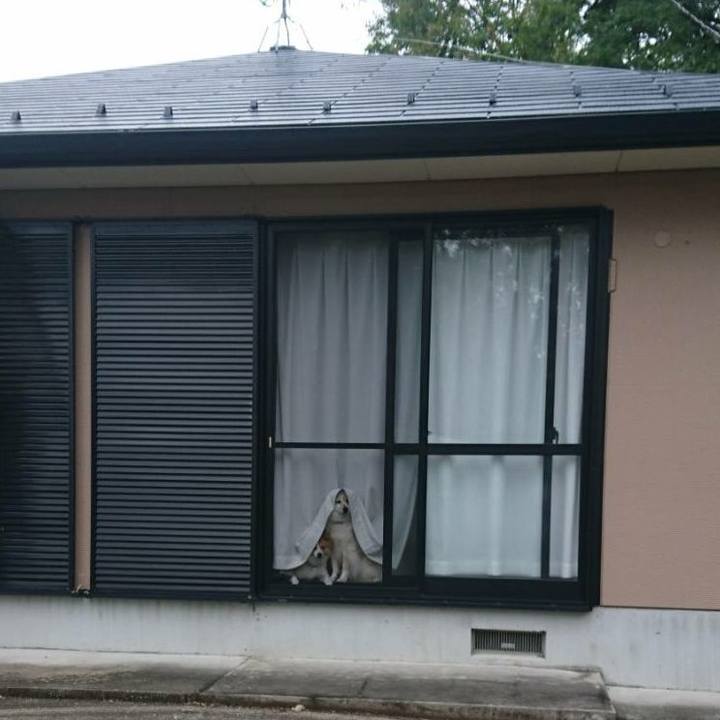 B1c23aa5 7652 4377 a783 23f01243edf6 1571836630423