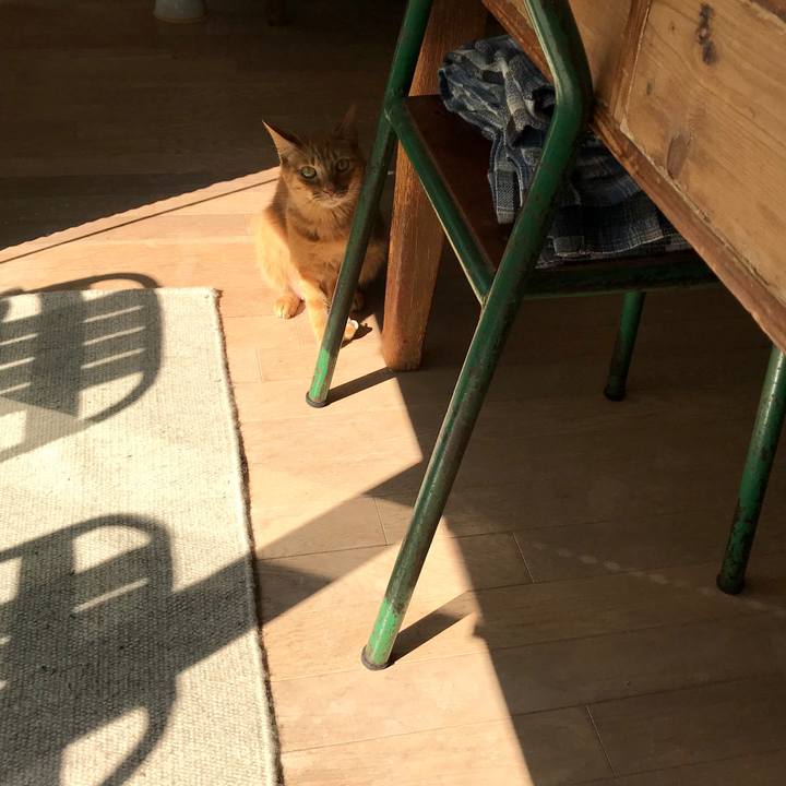 B1c26962 0e88 41ef 839e d757cb88d2b9 1551757983312