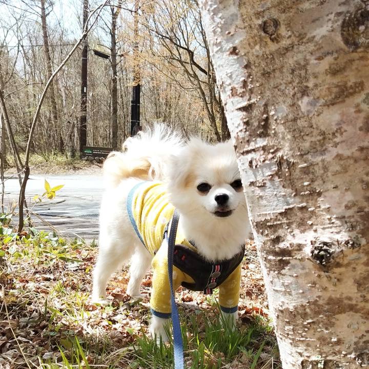 B1c27fb2 90f7 4af1 8c0a 60f29e6fdc5c 1699805318116